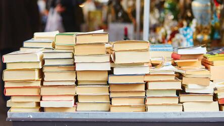 Boekenmarkt lokale auteurs