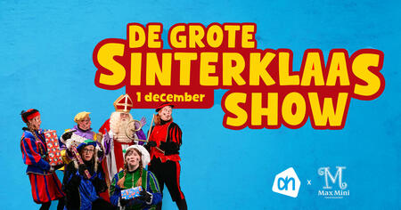 De Grote Sinterklaas show