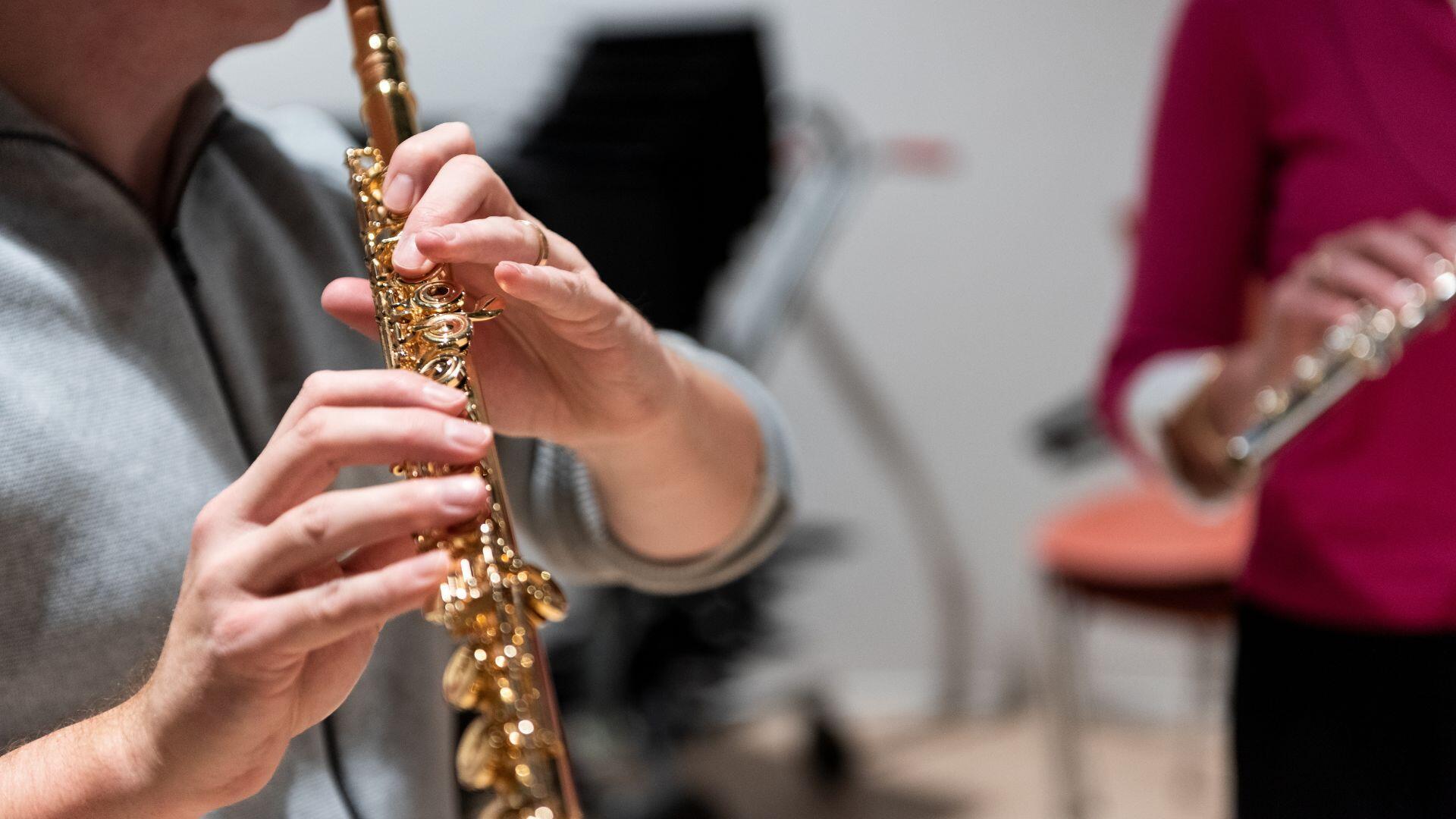 FLUIT. Dwarsfluitensemble