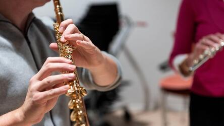 FLUIT. Dwarsfluitensemble