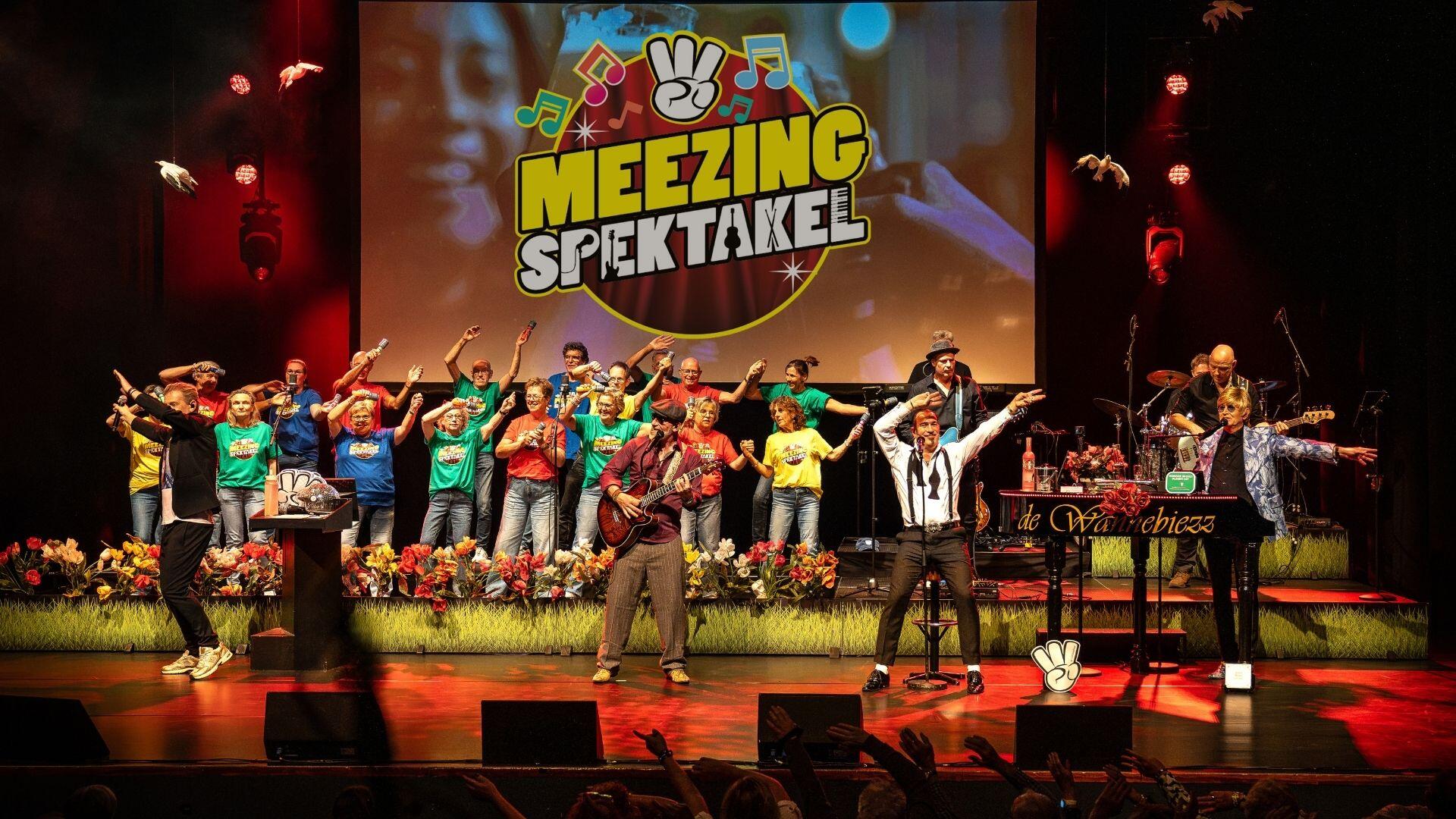 Het meezingspektakel