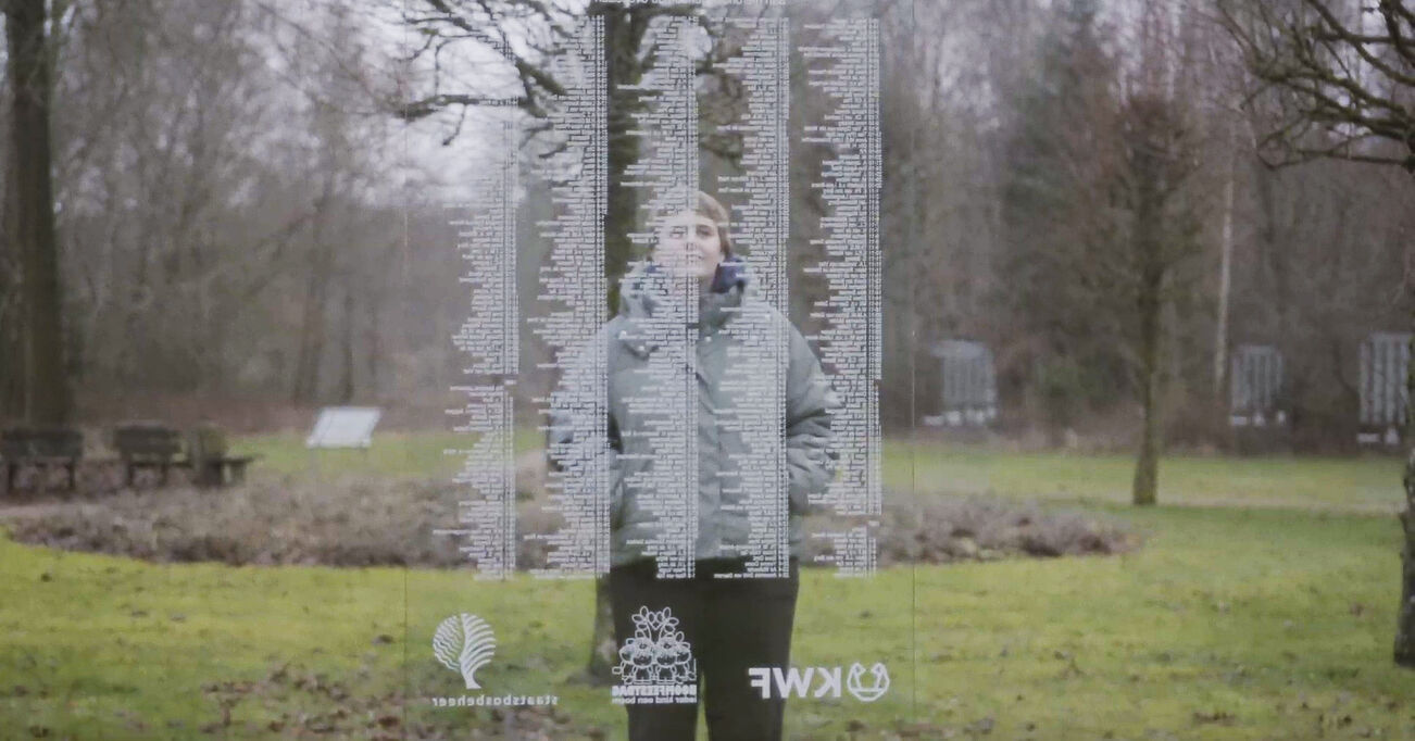 In het Licht van Morgen