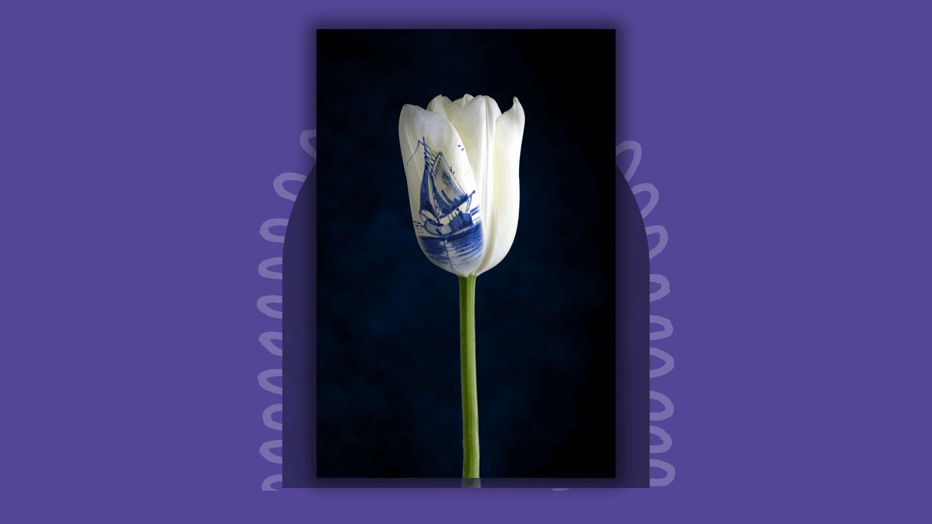 Opening Expositie- Q4- 2025