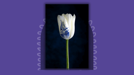 Opening Expositie- Q4- 2025