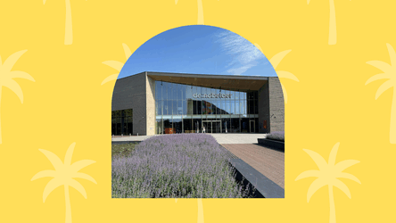 Openingstijden zomer 2026