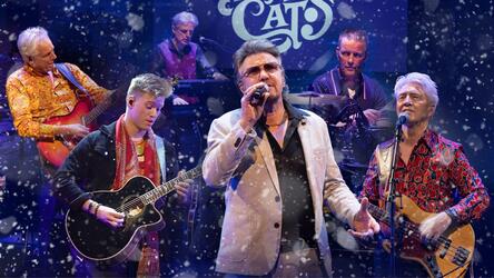 Poppodium presenteert: The story of The Cats